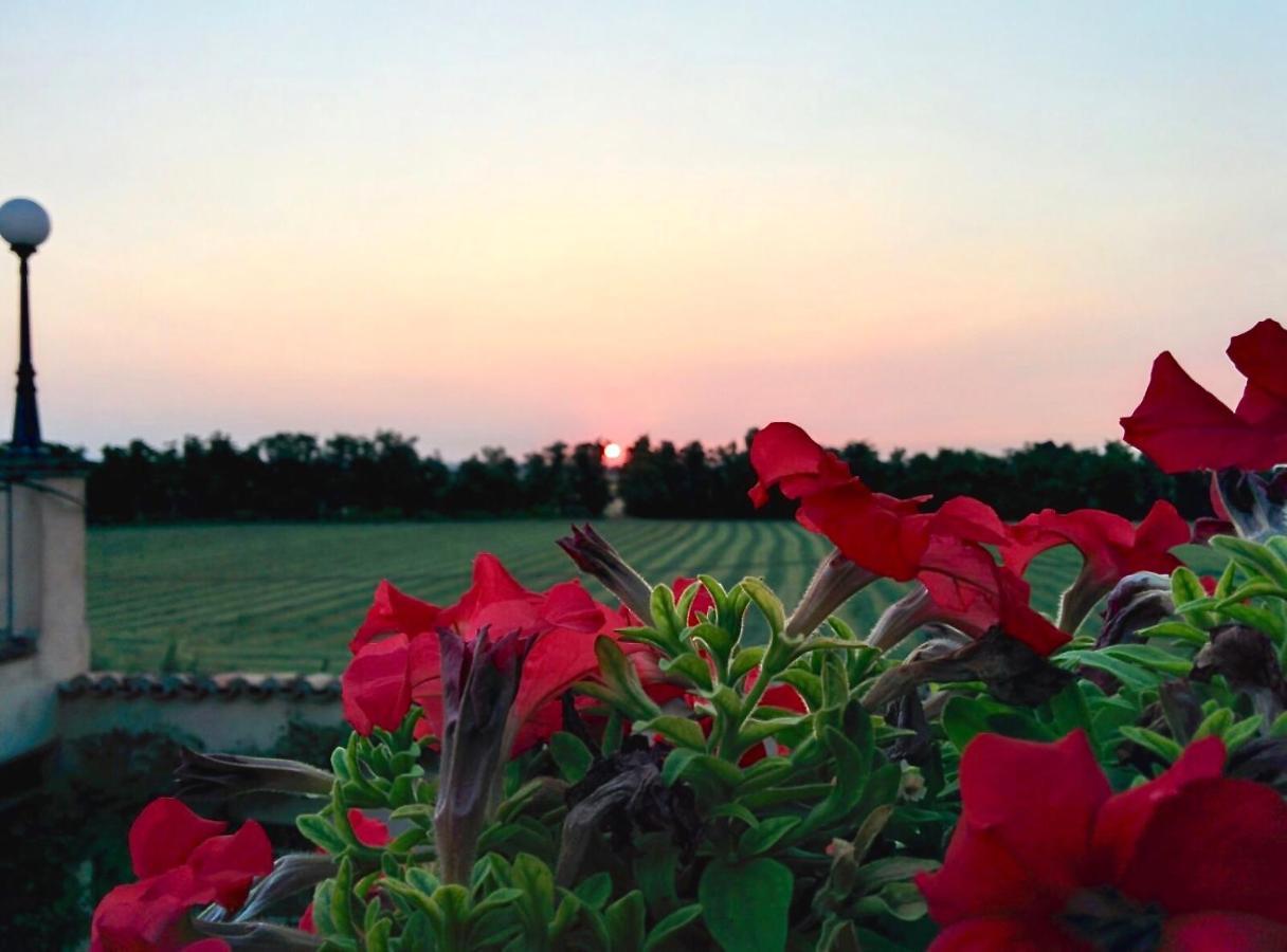 Agriturismo Corte Bebbi Bibbiano  Kültér fotó